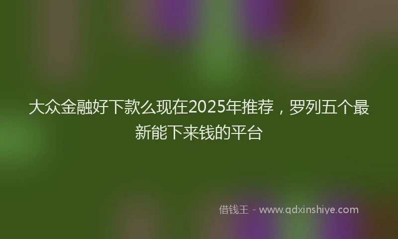 大众金融好下款么现在2025年推荐，罗列五个最新能下来钱的平台