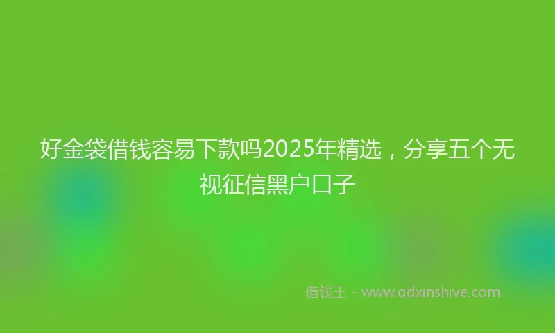 好金袋借钱容易下款吗2025年精选，分享五个无视征信黑户口子