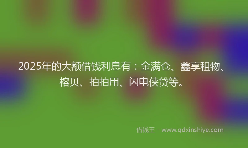 2025年的大额借钱利息有：金满仓、鑫享租物、榕贝、拍拍用、闪电侠贷等。