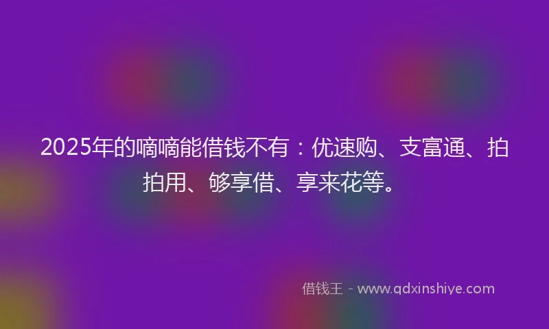 2025年的嘀嘀能借钱不有：优速购、支富通、拍拍用、够享借、享来花等。