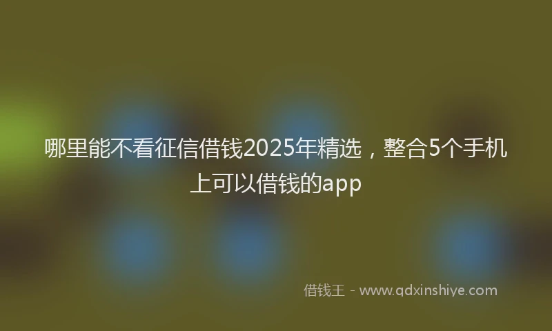 哪里能不看征信借钱2025年精选，整合5个手机上可以借钱的app