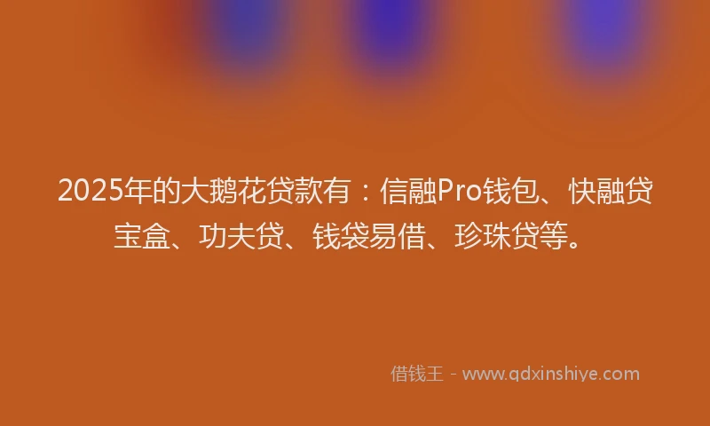 2025年的大鹅花贷款有：信融Pro钱包、快融贷宝盒、功夫贷、钱袋易借、珍珠贷等。