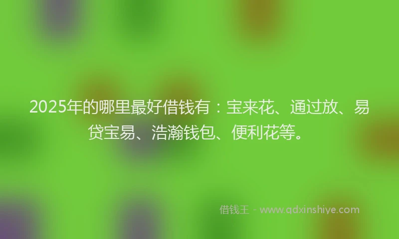 2025年的哪里最好借钱有：宝来花、通过放、易贷宝易、浩瀚钱包、便利花等。