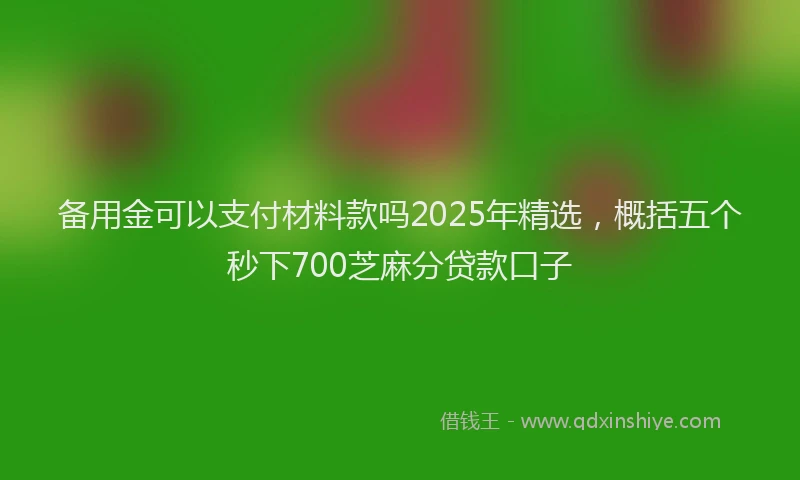 备用金可以支付材料款吗2025年精选，概括五个秒下700芝麻分贷款口子