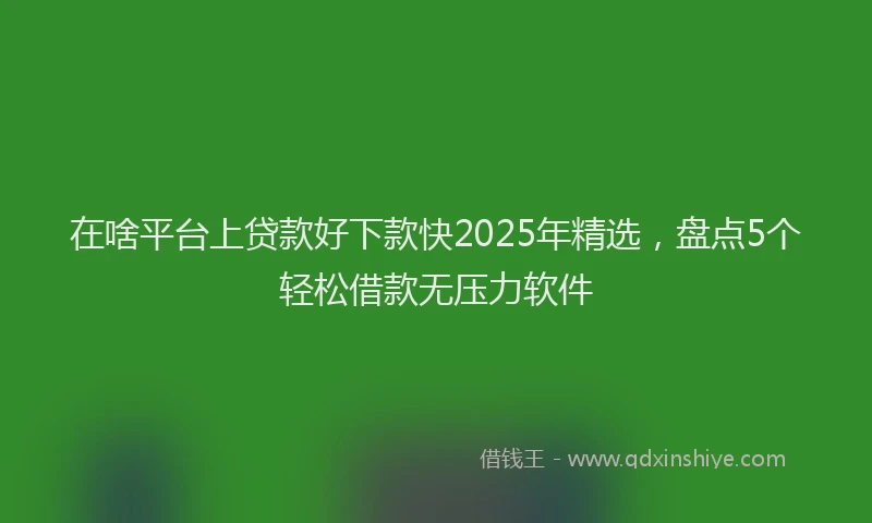 在啥平台上贷款好下款快2025年精选，盘点5个轻松借款无压力软件
