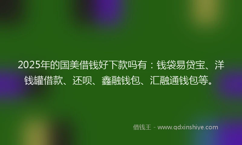 2025年的国美借钱好下款吗有：钱袋易贷宝、洋钱罐借款、还呗、鑫融钱包、汇融通钱包等。