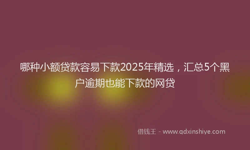 哪种小额贷款容易下款2025年精选，汇总5个黑户逾期也能下款的网贷
