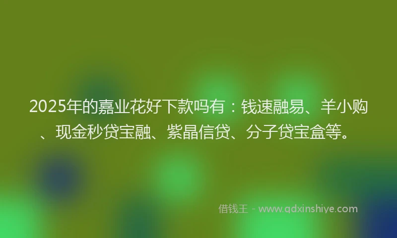 2025年的嘉业花好下款吗有：钱速融易、羊小购、现金秒贷宝融、紫晶信贷、分子贷宝盒等。