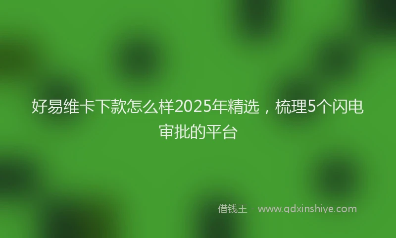 好易维卡下款怎么样2025年精选，梳理5个闪电审批的平台
