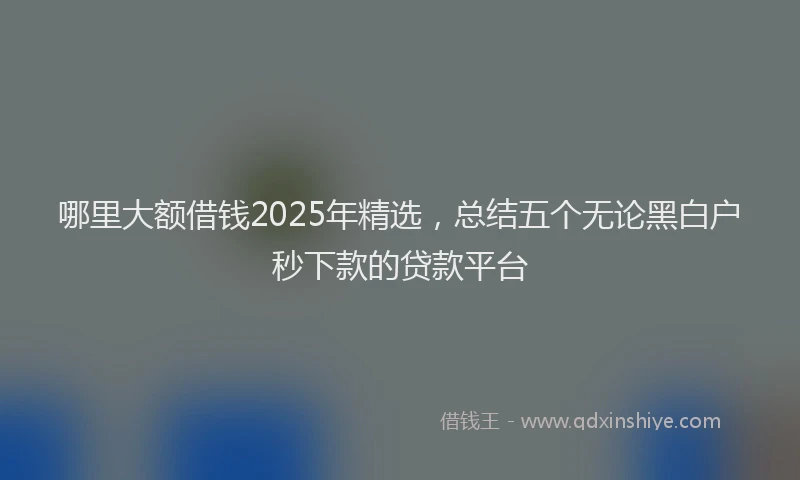 哪里大额借钱2025年精选，总结五个无论黑白户秒下款的贷款平台