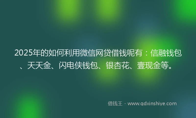2025年的如何利用微信网贷借钱呢有：信融钱包、天天金、闪电侠钱包、银杏花、壹现金等。