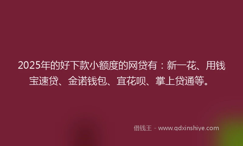 2025年的好下款小额度的网贷有：新一花、用钱宝速贷、金诺钱包、宜花呗、掌上贷通等。
