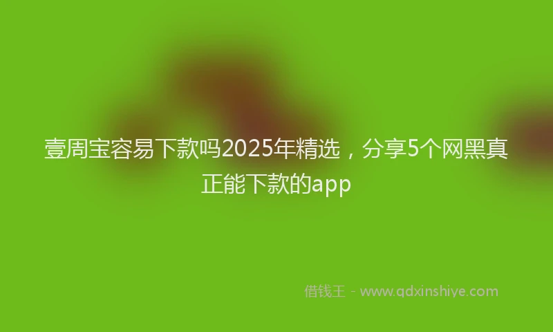 壹周宝容易下款吗2025年精选，分享5个网黑真正能下款的app