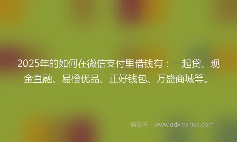 2025年的如何在微信支付里借钱有：一起贷、现金直融、易橙优品、正好钱包、万盛商城等。