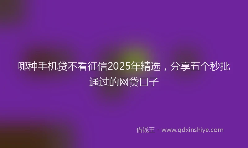 哪种手机贷不看征信2025年精选，分享五个秒批通过的网贷口子