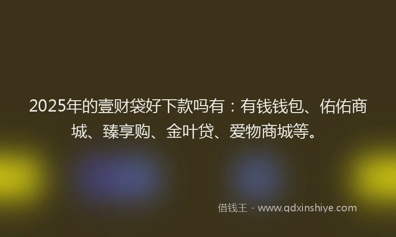 2025年的壹财袋好下款吗有：有钱钱包、佑佑商城、臻享购、金叶贷、爱物商城等。