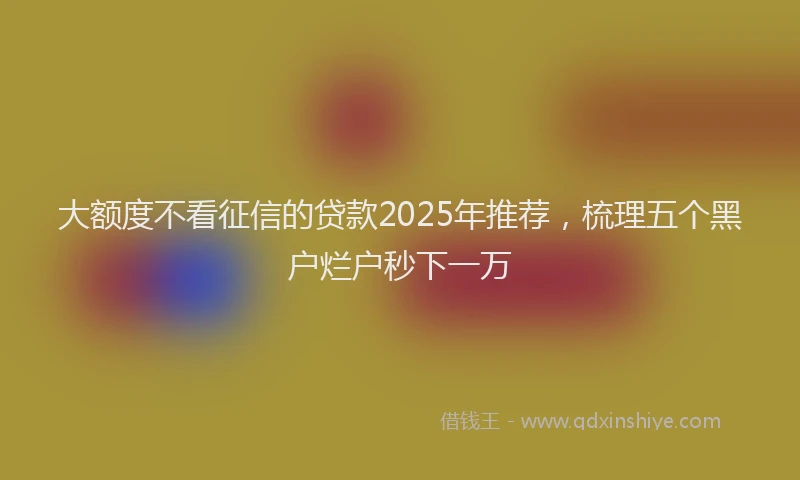 大额度不看征信的贷款2025年推荐，梳理五个黑户烂户秒下一万