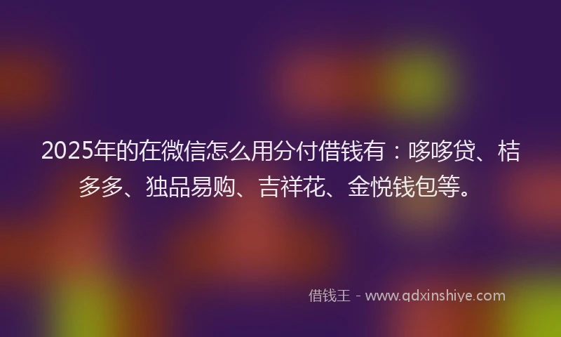 2025年的在微信怎么用分付借钱有：哆哆贷、桔多多、独品易购、吉祥花、金悦钱包等。