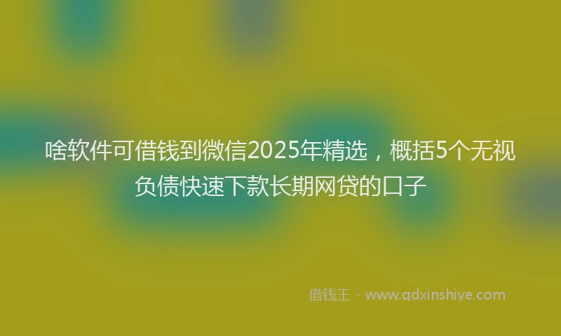 啥软件可借钱到微信2025年精选，概括5个无视负债快速下款长期网贷的口子