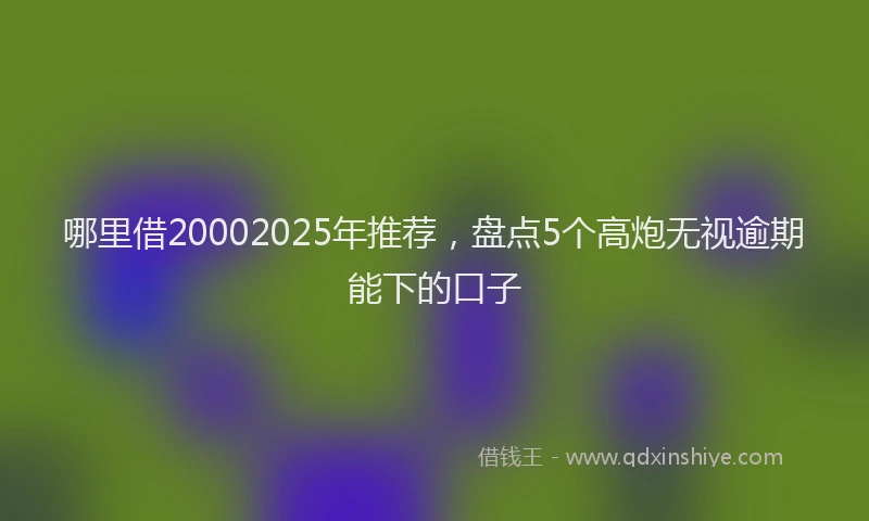 哪里借20002025年推荐，盘点5个高炮无视逾期能下的口子
