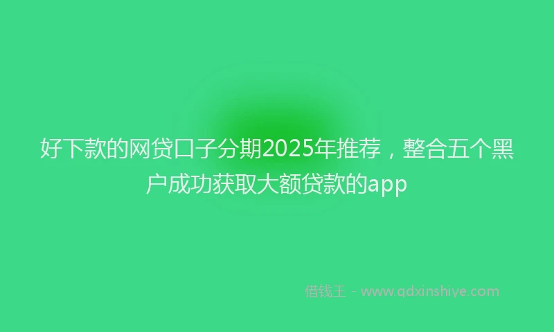 好下款的网贷口子分期2025年推荐，整合五个黑户成功获取大额贷款的app