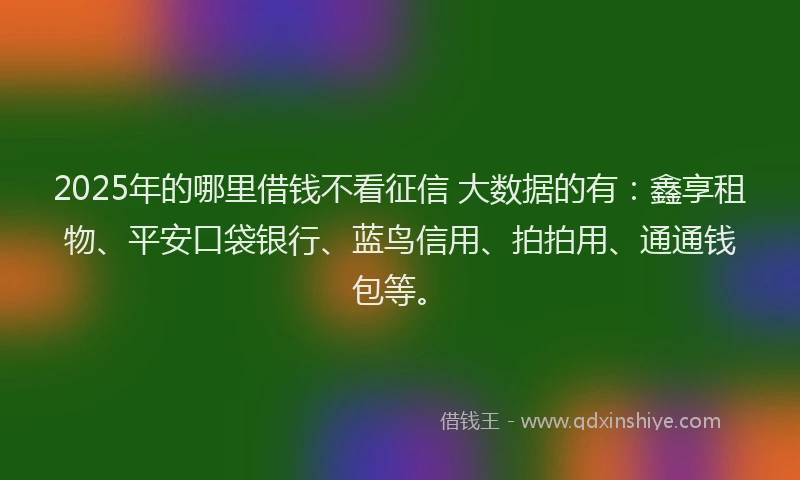 2025年的哪里借钱不看征信 大数据的有：鑫享租物、平安口袋银行、蓝鸟信用、拍拍用、通通钱包等。