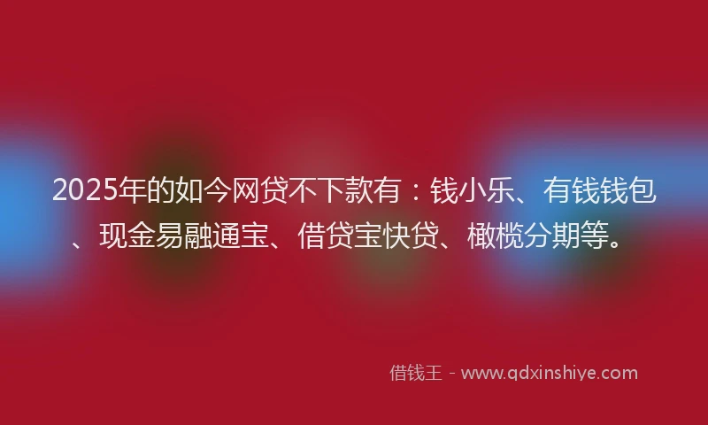 2025年的如今网贷不下款有：钱小乐、有钱钱包、现金易融通宝、借贷宝快贷、橄榄分期等。