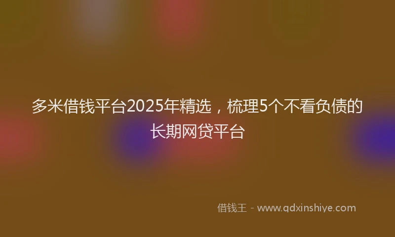 多米借钱平台2025年精选，梳理5个不看负债的长期网贷平台