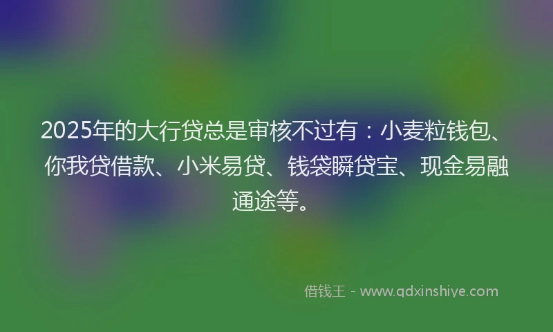 2025年的大行贷总是审核不过有：小麦粒钱包、你我贷借款、小米易贷、钱袋瞬贷宝、现金易融通途等。