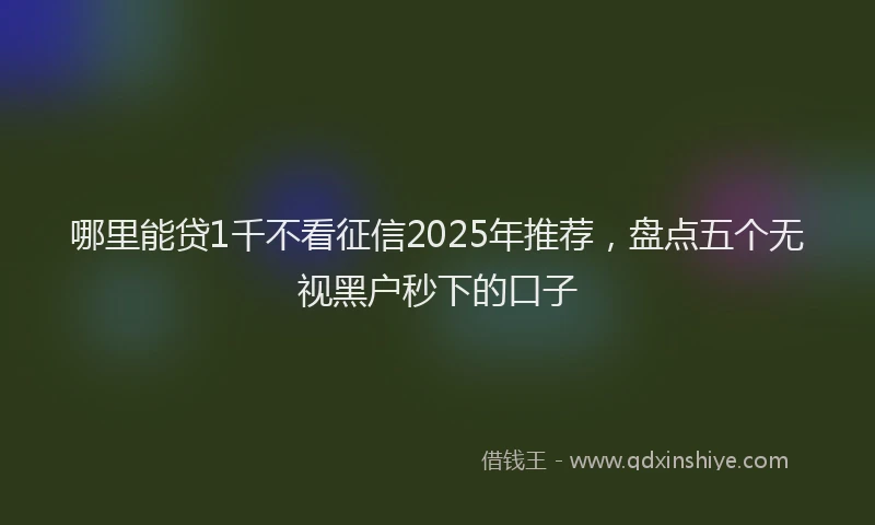 哪里能贷1千不看征信2025年推荐，盘点五个无视黑户秒下的口子