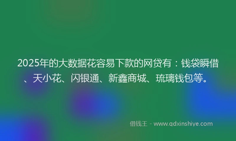 2025年的大数据花容易下款的网贷有：钱袋瞬借、天小花、闪银通、新鑫商城、琉璃钱包等。