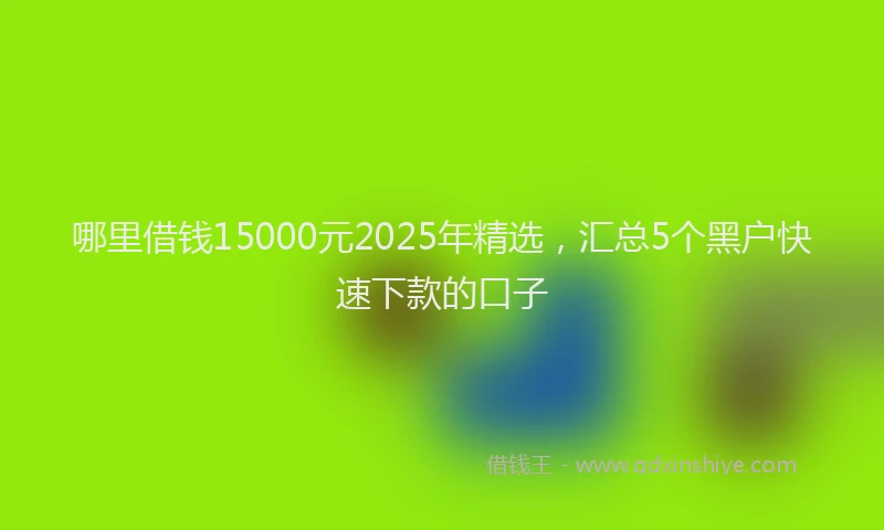 哪里借钱15000元2025年精选，汇总5个黑户快速下款的口子