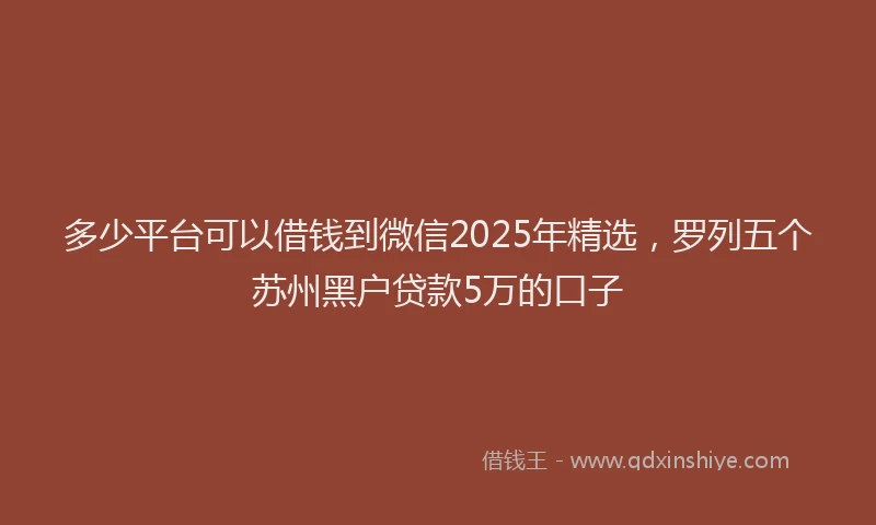 多少平台可以借钱到微信2025年精选，罗列五个苏州黑户贷款5万的口子