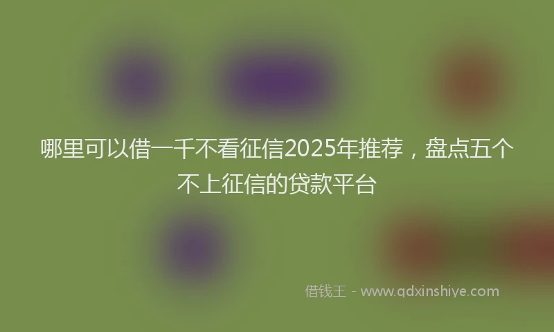 哪里可以借一千不看征信2025年推荐，盘点五个不上征信的贷款平台