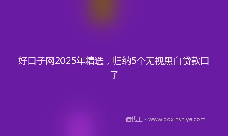 好口子网2025年精选，归纳5个无视黑白贷款口子