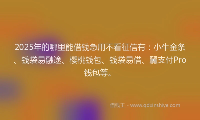 2025年的哪里能借钱急用不看征信有：小牛金条、钱袋易融途、樱桃钱包、钱袋易借、翼支付Pro钱包等。