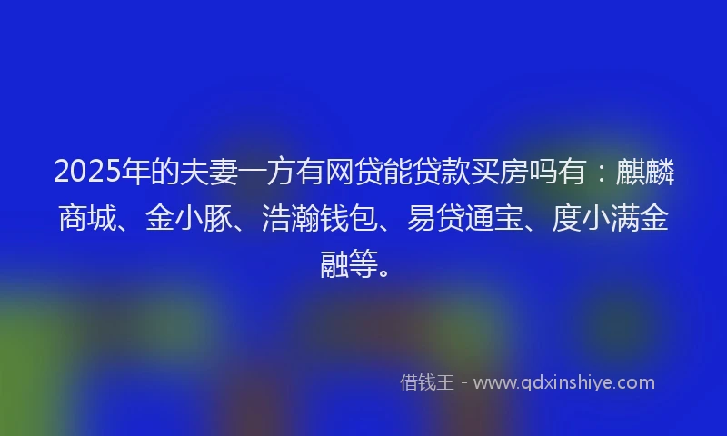 2025年的夫妻一方有网贷能贷款买房吗有：麒麟商城、金小豚、浩瀚钱包、易贷通宝、度小满金融等。