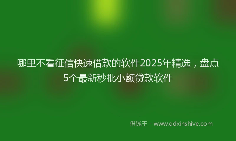哪里不看征信快速借款的软件2025年精选，盘点5个最新秒批小额贷款软件