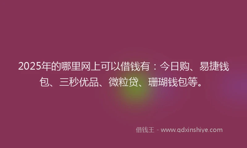 2025年的哪里网上可以借钱有：今日购、易捷钱包、三秒优品、微粒贷、珊瑚钱包等。