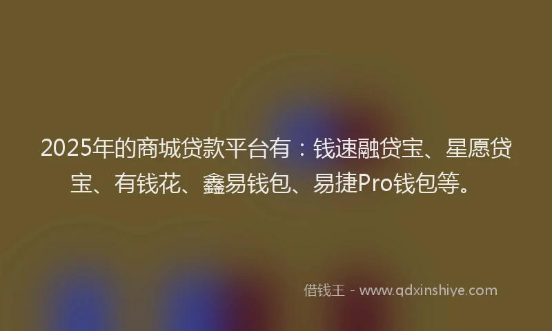 2025年的商城贷款平台有：钱速融贷宝、星愿贷宝、有钱花、鑫易钱包、易捷Pro钱包等。