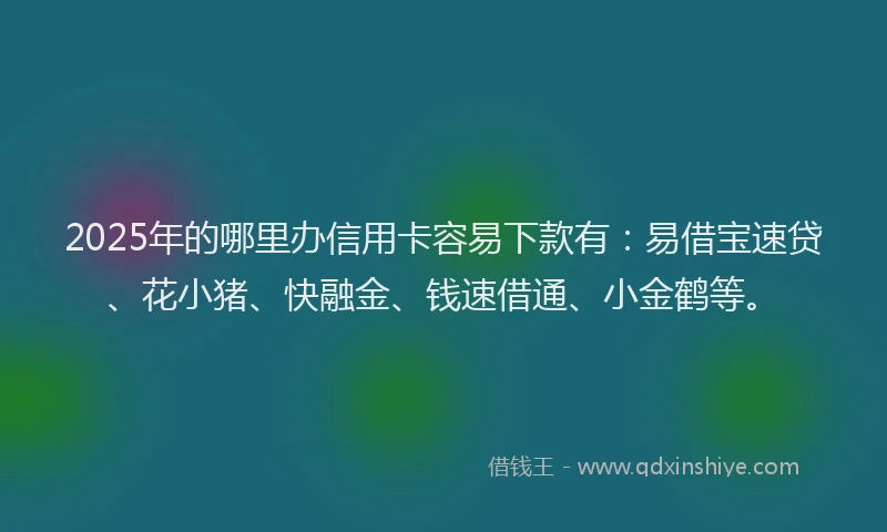 2025年的哪里办信用卡容易下款有：易借宝速贷、花小猪、快融金、钱速借通、小金鹤等。