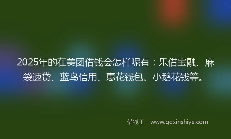 2025年的在美团借钱会怎样呢有：乐借宝融、麻袋速贷、蓝鸟信用、惠花钱包、小鹅花钱等。