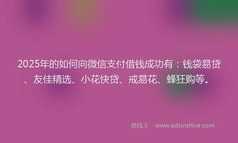 2025年的如何向微信支付借钱成功有：钱袋易贷、友佳精选、小花快贷、戒易花、蜂狂购等。