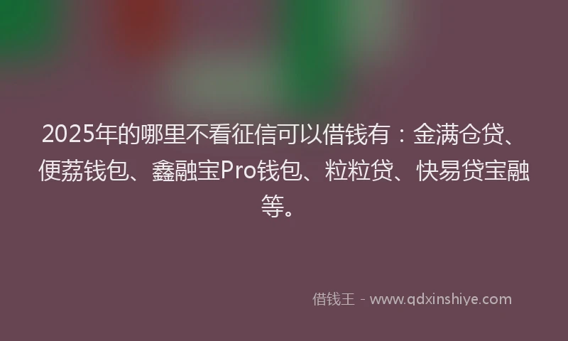 2025年的哪里不看征信可以借钱有：金满仓贷、便荔钱包、鑫融宝Pro钱包、粒粒贷、快易贷宝融等。