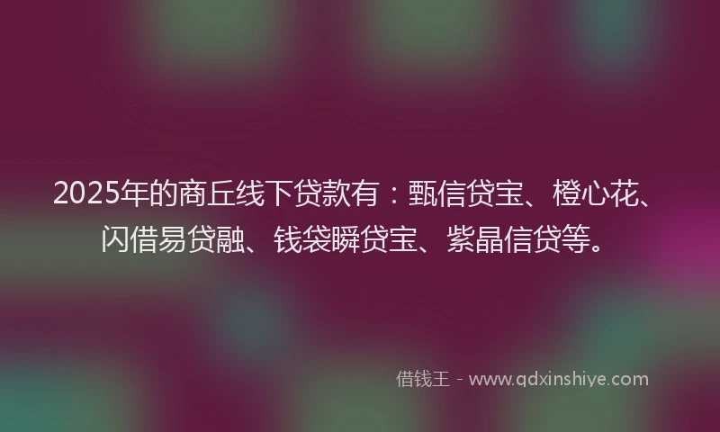 2025年的商丘线下贷款有：甄信贷宝、橙心花、闪借易贷融、钱袋瞬贷宝、紫晶信贷等。
