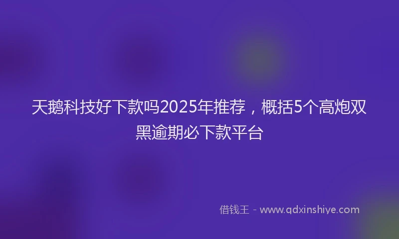 天鹅科技好下款吗2025年推荐，概括5个高炮双黑逾期必下款平台