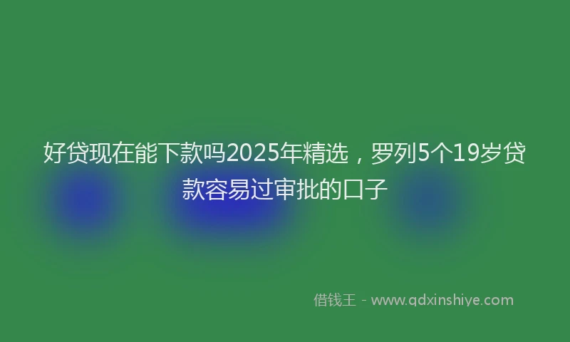 好贷现在能下款吗2025年精选，罗列5个19岁贷款容易过审批的口子