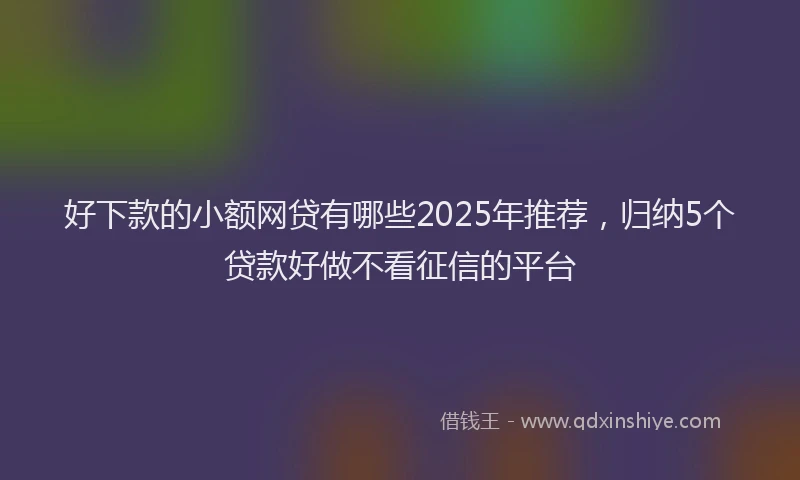 好下款的小额网贷有哪些2025年推荐，归纳5个贷款好做不看征信的平台