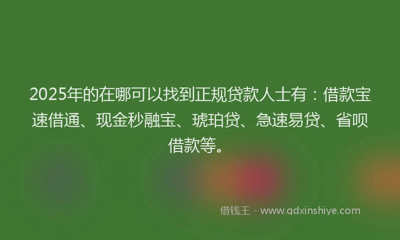 2025年的在哪可以找到正规贷款人士有：借款宝速借通、现金秒融宝、琥珀贷、急速易贷、省呗借款等。