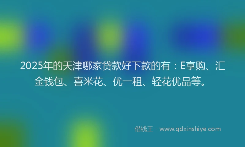 2025年的天津哪家贷款好下款的有：E享购、汇金钱包、喜米花、优一租、轻花优品等。